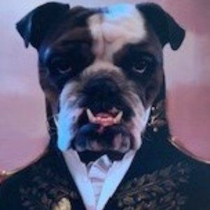 Meet your Posher, Matt